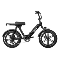 Thumbnail for Himiway Escape Pro Electric Cargo Moped Style Bike