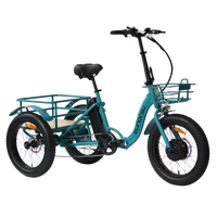 Thumbnail for EUNORAO New Trike Electric Tricycle