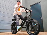 Thumbnail for Himiway Escape Pro Electric Cargo Moped Style Bike