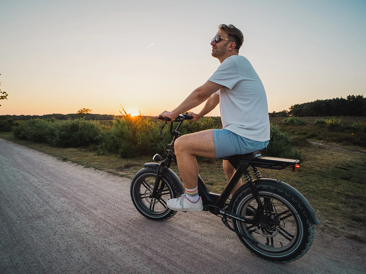 Himiway Escape Pro Electric Cargo Moped Style Bike